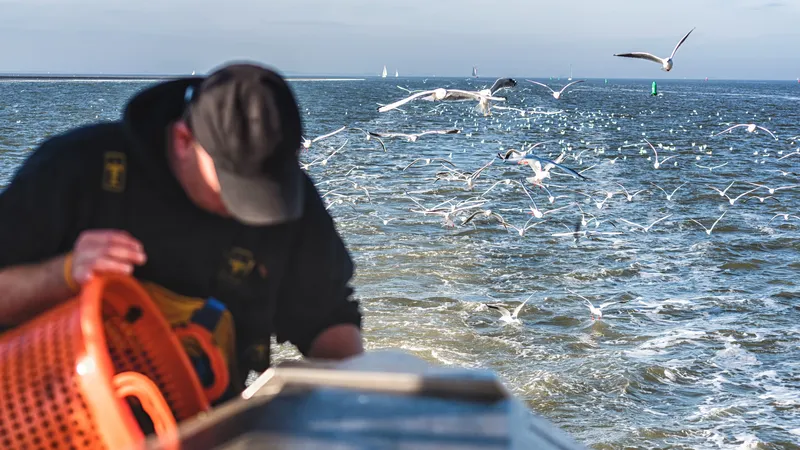 Belgium coastal fishing