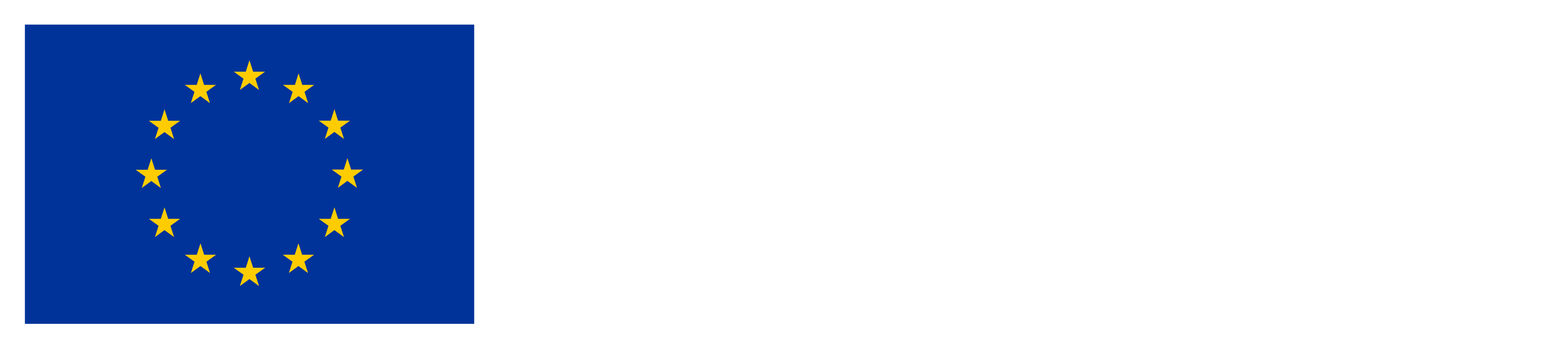 EU Logo